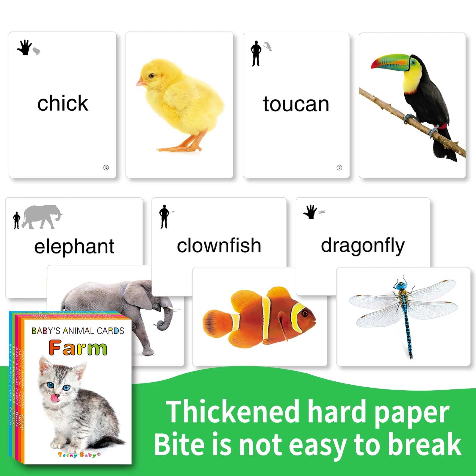 English Kids' Cognitive Animal Cards: Farm, Birds, Fish, Insects, Wild Animals, Ages 2-5, Colorful, Names on Back, Educational