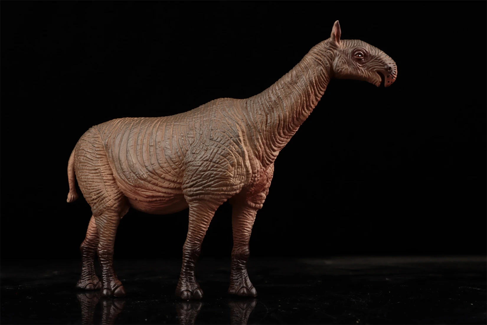 Earth Story スタジオ Paraceratherium モデル先史時代の動物フィギュアコレクションシーンの装飾誕生日ギフトのおもちゃ