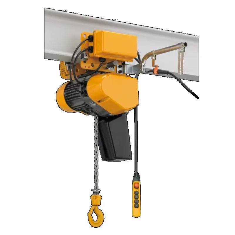 

Best-selling High-Speed Electric Chain Hoist Single Phase With Core Motor Component For Cranes