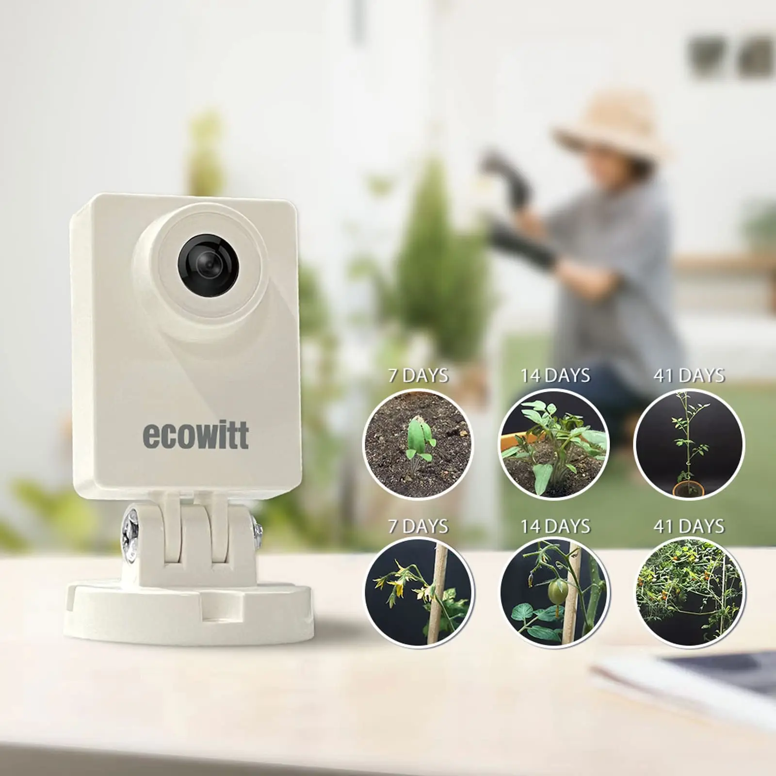 Ecowitt HP10 wittcam kültéri Időjárási camer, Megfigyelő Növény grow/weather changing/water Nívó Változó, IP66, APP vezérlő