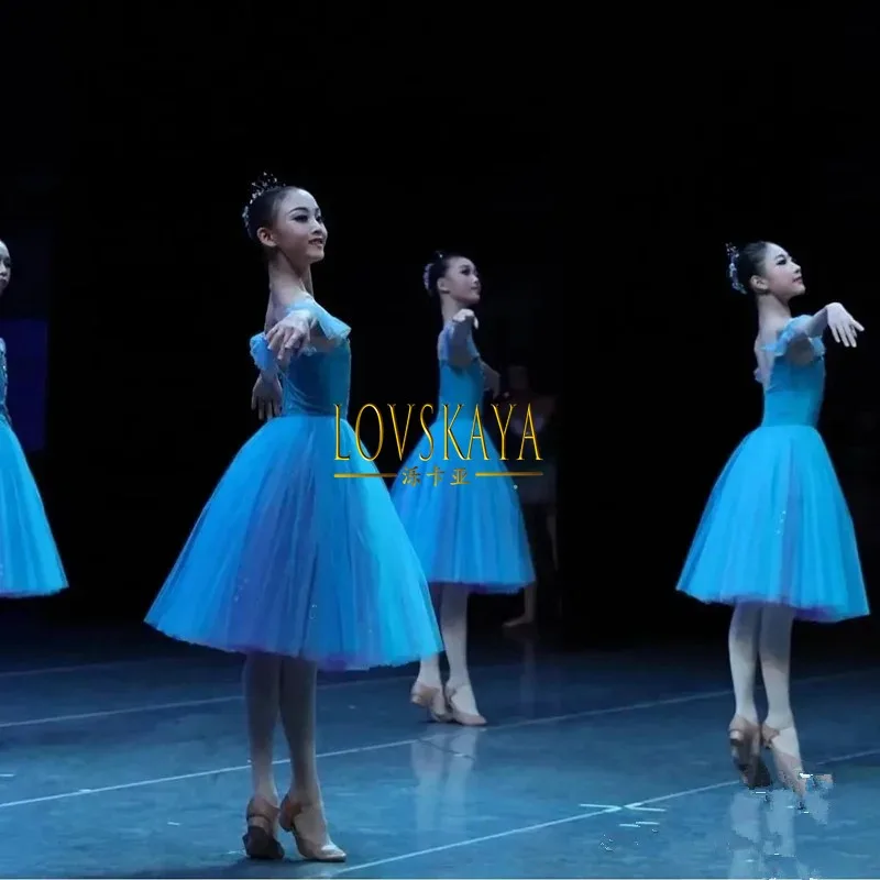 Long Romantic Blue Ballet Dress Performance Clothes Swan Lake Ballerine Children Girls Ballet Costume