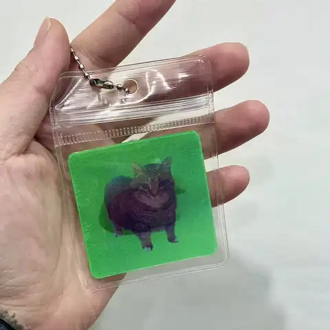 Oiiai 재미 있은 추상 고양이 래스터 카드 감압 창조적 인 표현 키 체인 친구와 여자 친구를위한 선물