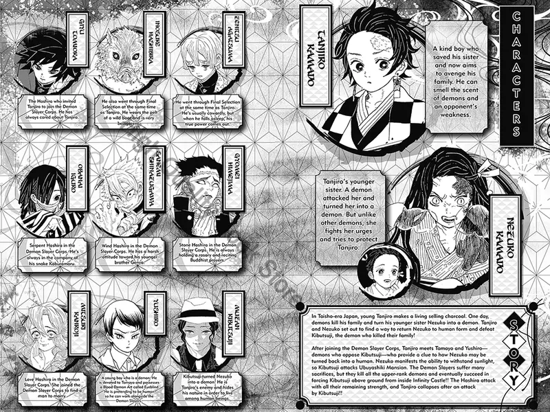 New Anime Demon Slayer Kimetsu No Vol.19 Yaiba Japan Fantasy Science Mystery Suspense English Version Manga Comic Book - Image 2