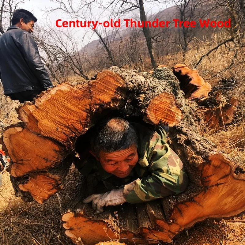 Original Live Date Palm Log l Lightning Strike Muster Tausend Jahre alt Datum Palme Holzstreifen geschnitzt Home Decor