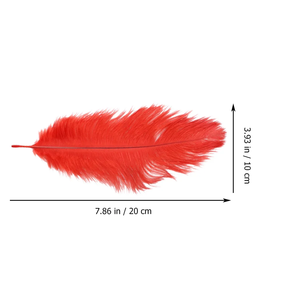 

10Pcs Ostrich 15-20cm Authentic Natural School Home DIY Decoration Ostrich Home Decoration Party Supplies