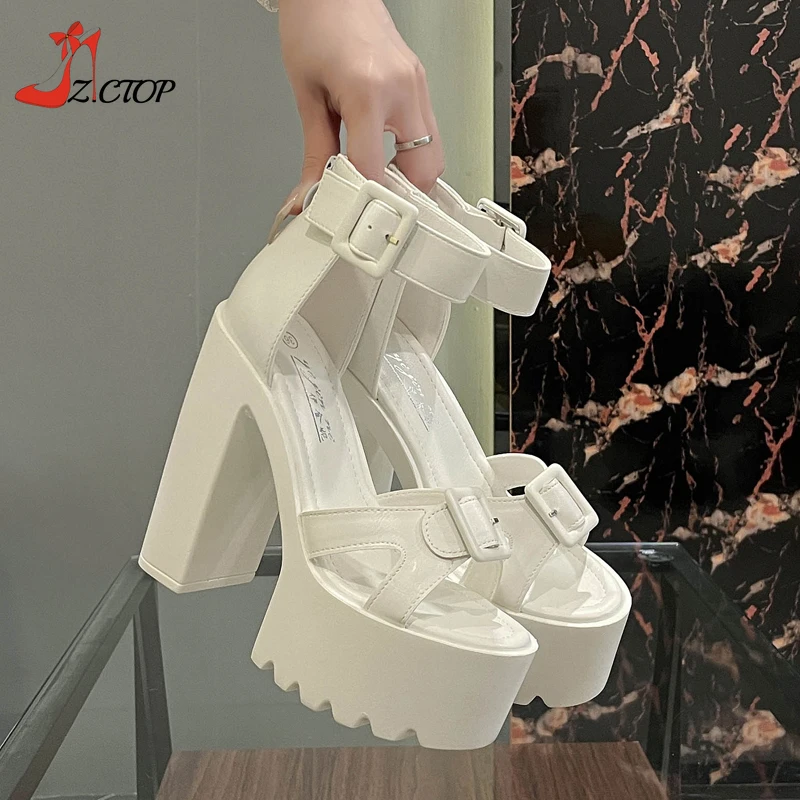 New Summer 14cm Thick Heel Platform Sandals for Women Open Toe Sexy Women's Pumps Shoes High Heeled Sandals White Black view 2