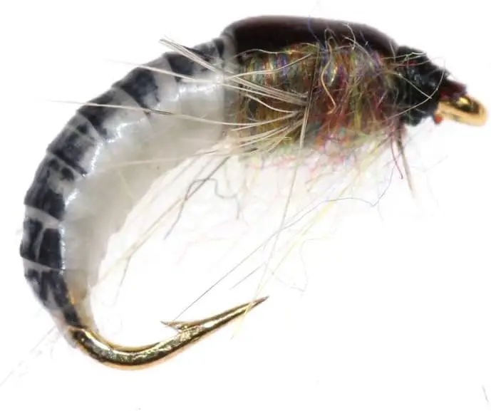 Realistic Nymph Scud Flies, Popper Flies for Trout Nymph Beadhead Fishing Wet Assortment Flies Bug Worm Scud Looking 6pcs