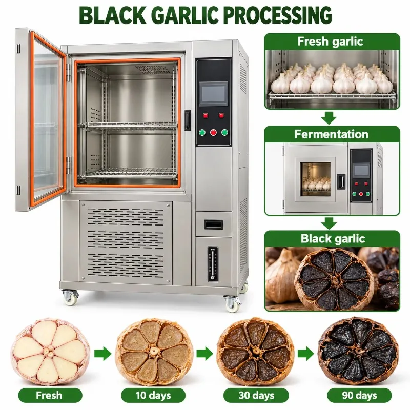 Customized Stainless Steel Whole Garlic Black Garlic Fermenter Automatic Fermentation Machine with Temperature Humidity Control