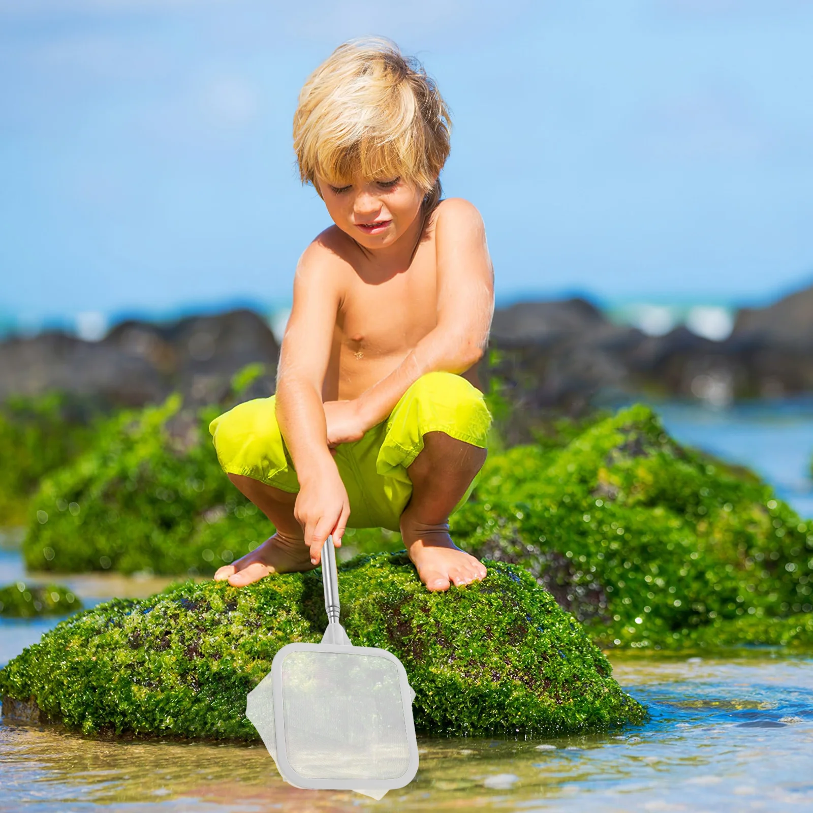 

Fish Tank Fishing Net Stainless Steel Telescopic Extendable Handle Small Shrimp Fish Catch Net Fine Mesh Portable Fishing Tool