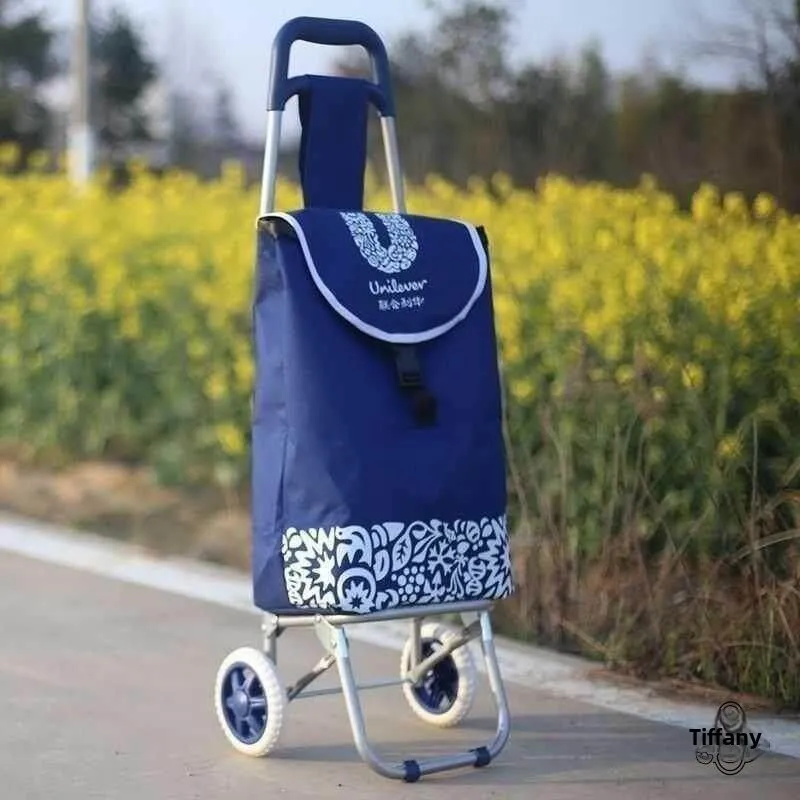 chariot-de-courses-portable-petit-chariot-a-tirer-pour-l'achat-de-legumes-utilisation-domestique-poignee-retractable-chariot-de-courses-pliable-en-acier-inoxydable