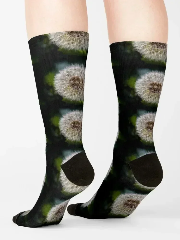 Dandelion Socks winter gifts Novelties kids sports and leisure Socks For Girls Men's