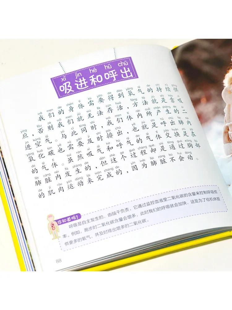 كتاب-Winshare موسوعة جسم الإنسان #4