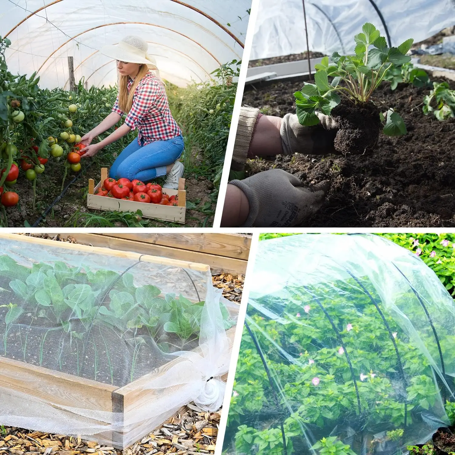 정원용 해충망 1개 2.5*7.5m, 채소나무, 과일나무 보호용 메쉬망, 새 및 해충 방지 식물 커버