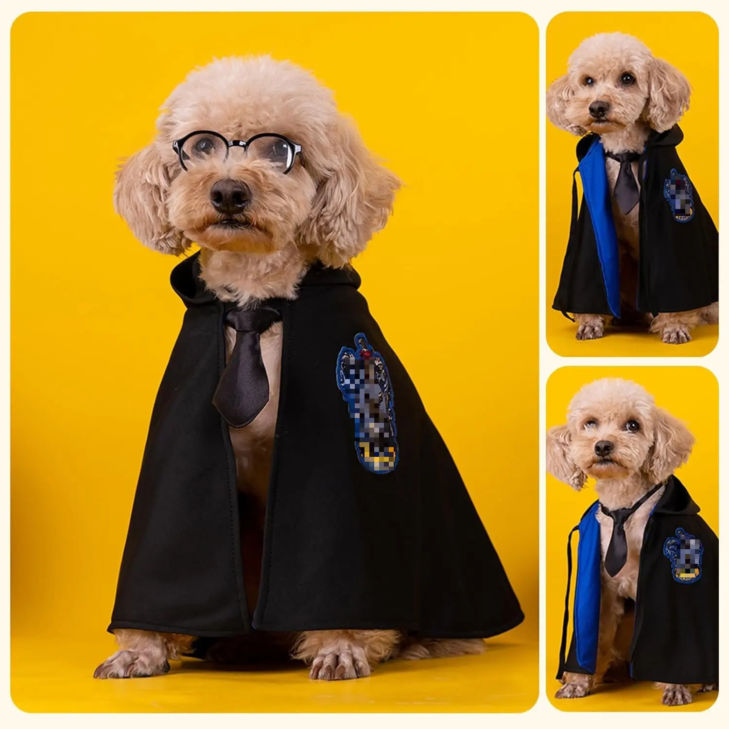 Dog Costume Pet Cat Cosplay Cloak College Pet Clothes Small Magic Cloak Spring and Autumn Clothes Glasses Necktie Dog Pet Shawl