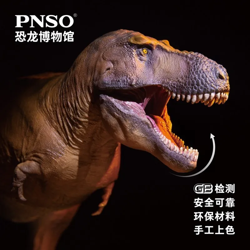 Cameron PNSO Jurassic Tyrannosaurus Dinosaur Museum Modello 1:35 Scienza Arte Con Attacco Teschio Durevole Giocattolo Da Collezione Figura