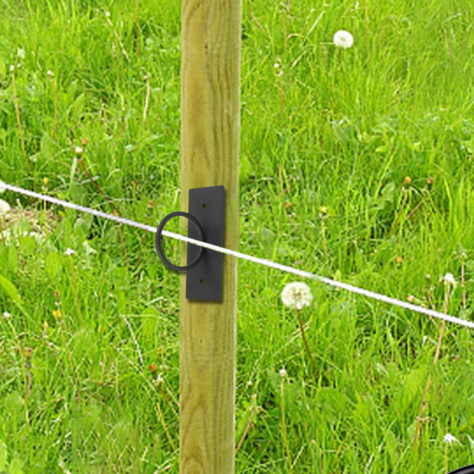 

2inch Rope Holder Drop Ring Brackets 304 Stainless Steel Anti-rust Black Coating Corrosion-resistant Easy Installation For Docks