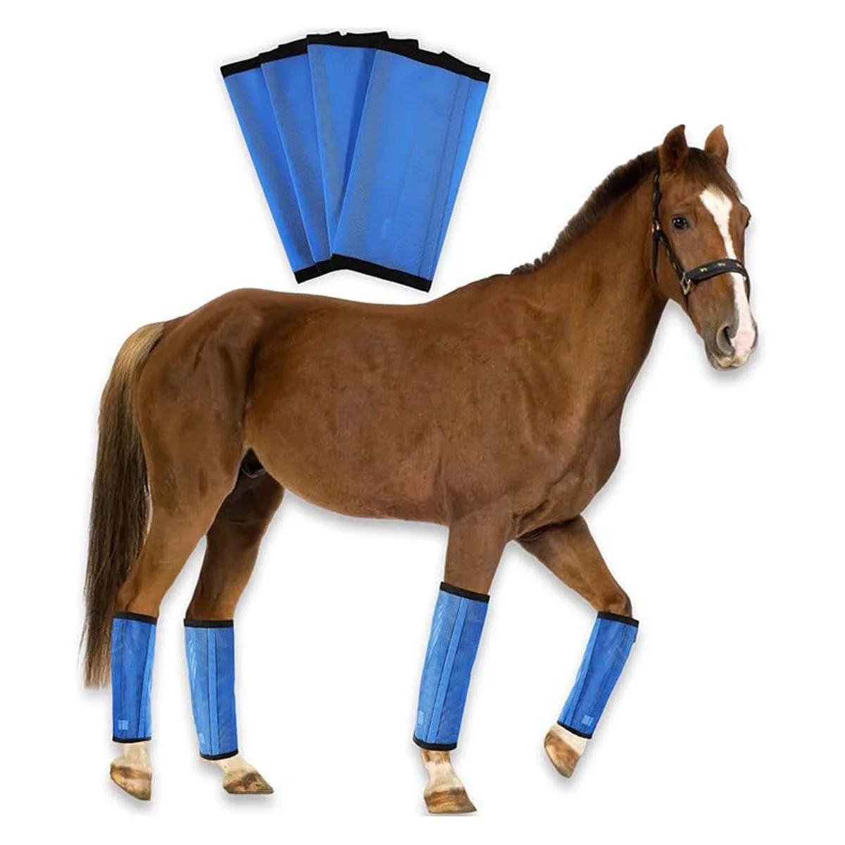 Bottes de cheval en maille respirante, enveloppes de jambe de cheval de protection, legging pour prévenir les mouches, 4 pièces