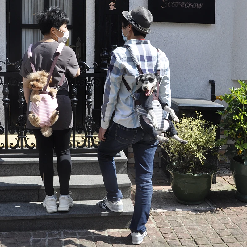 Zaino da viaggio per animali domestici con porta blu zaino portatile per cani borsa da viaggio per animali domestici a mani libere