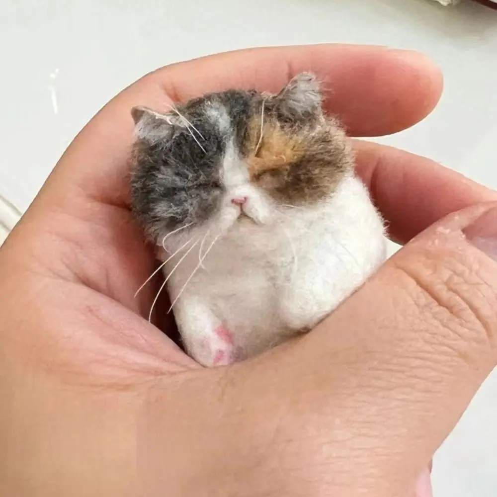 Non-Finished Cat Wool Needle Felting Kit Handmade DIY Wool Felt Cat Material Bag Beginner Friendly Craft