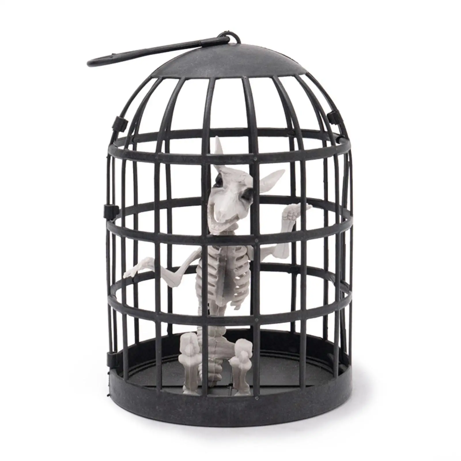 Statuette Enclosed Skeleton Vertical Upright Rods Round Base
