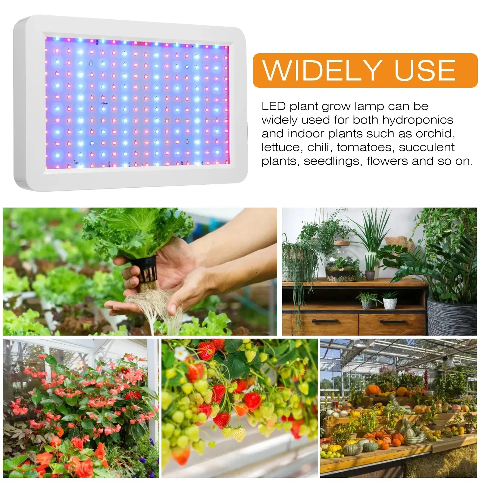 Latest Hydroponic Greenhouse Light 216/312 LED Full Spectrum LED Growth Light IP65 Plant Light Bulb Flower Growth Light image 5