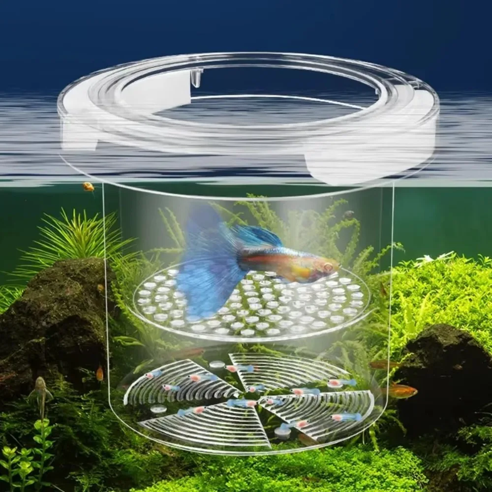 Acryl-Aquarium-Isolationsbox für Garnelen und Guppys, Transparente Zuchtbox, Abnehmbare Schwimmende Fischzucht-Isolationsbox