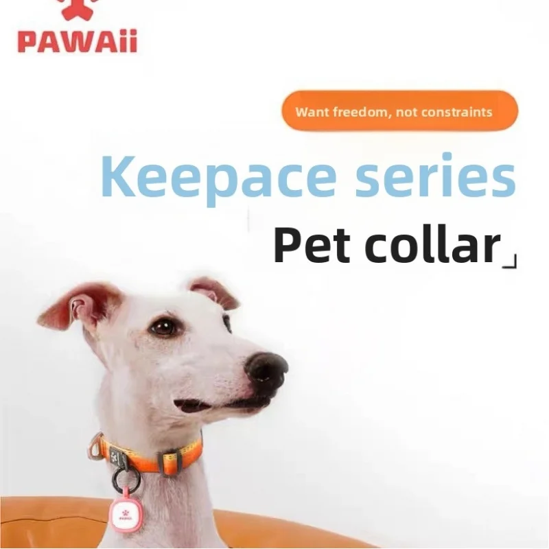 nuovo-collare-antistrozzamento-sicuro-per-cani-2026-antiperdita-con-guinzaglio-per-cani