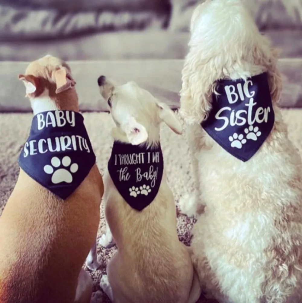 Baby Security Dog Bandana Pregnancy Announcement Photos Shower Gift Gender Reveal Black White Scarf For Pet New Baby view 5