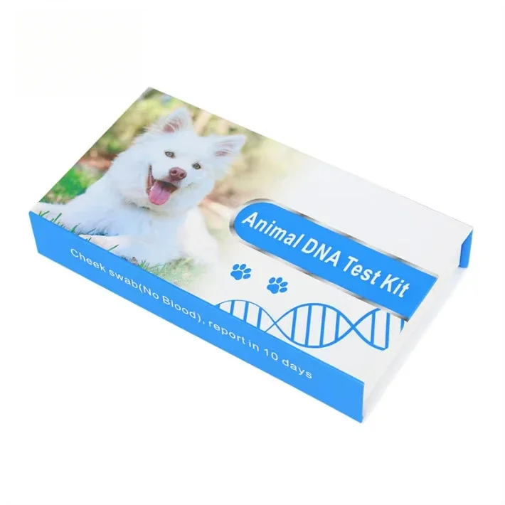 Veterinary Diagnostic Dna Collection test Swab Tube Kit Birds Cat Pet Canine Breeding Dna test Microbiology Test Kit