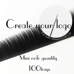 Flat Eyelashes Extensions two tips easy pick up customized lashes extension create your logo