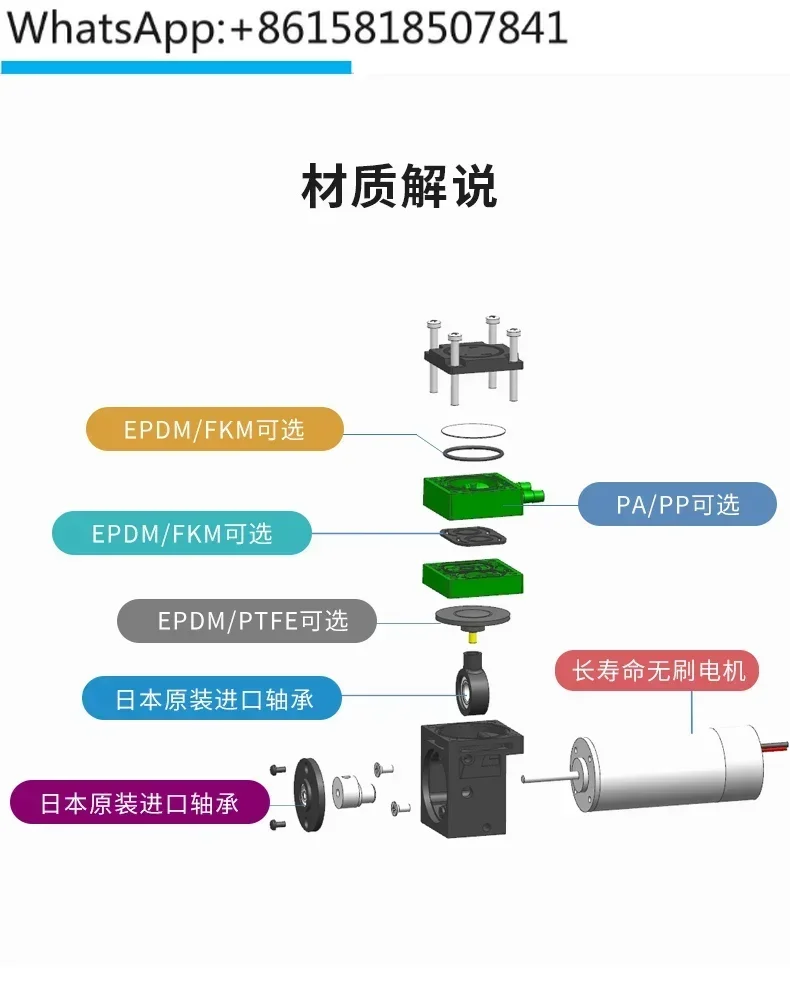 Diaphragm liquid pump 12V self suction pump, small oil-free 24V micro vacuum gas-liquid dual-purpose pump, corrosion-resistant