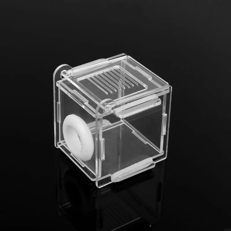 A6HD High Quality Material Nest Acrylic Farm Mini Nest Gifts for Kids