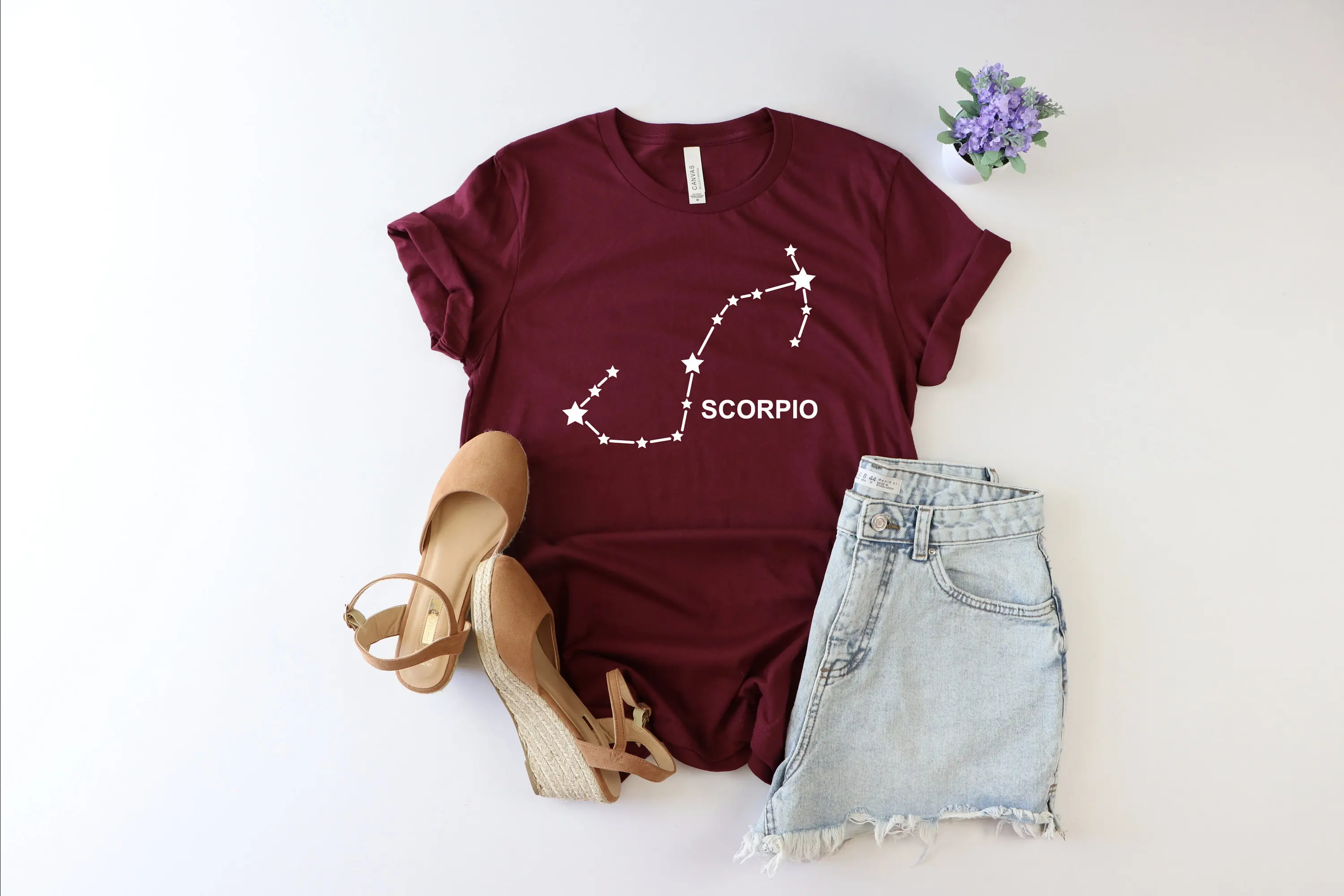 Scorpio zodiac T shirt Astrology Horoscope Birthday Signs