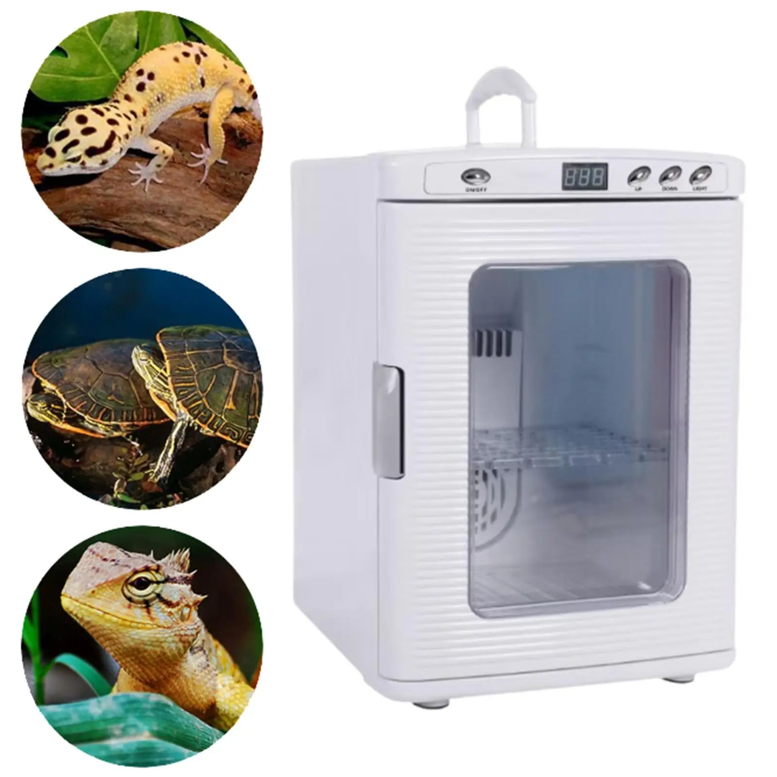 

Reptile Egg Small Digital Puppy Large Capacity Intelligent Scientific Lab for Chameleon Turtle