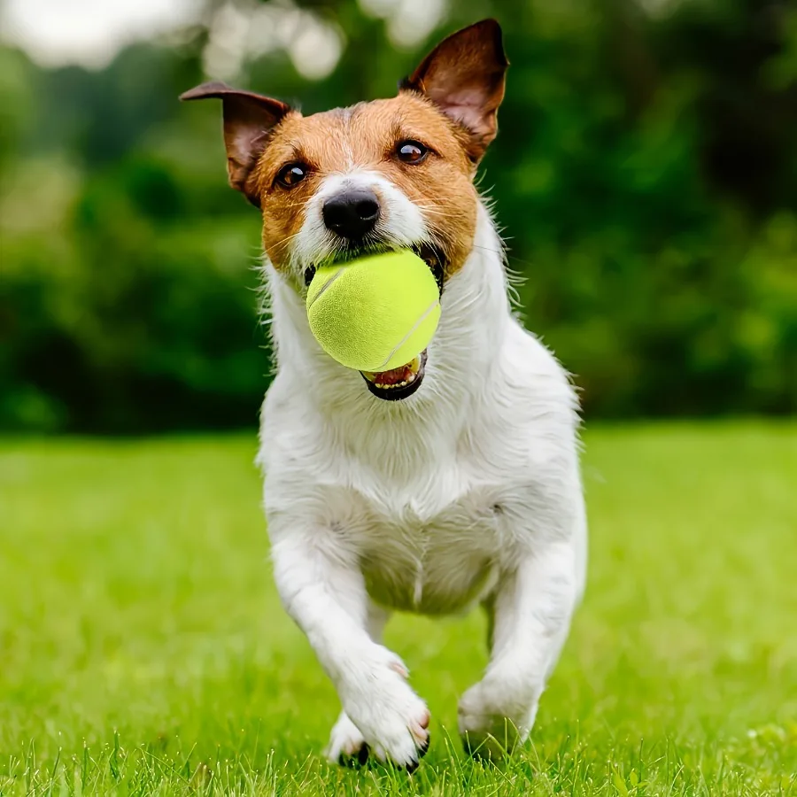 4 Piezas1 Pieza Pelota de Tenis