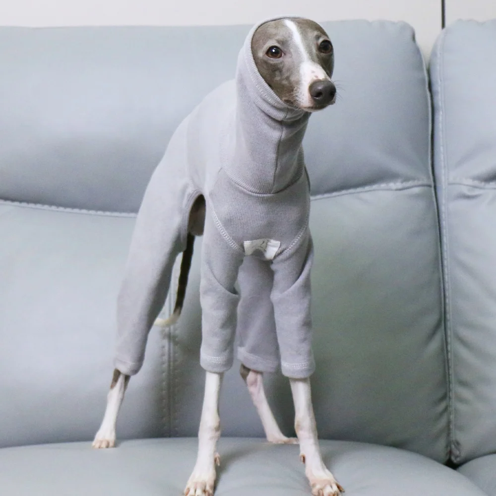 

Clothing for Mid Dogs Winter Warm 4-legged Cotton Grey Coat for Italian Greyhound Whippet High Neck Sweatshirt for Wellingtonian