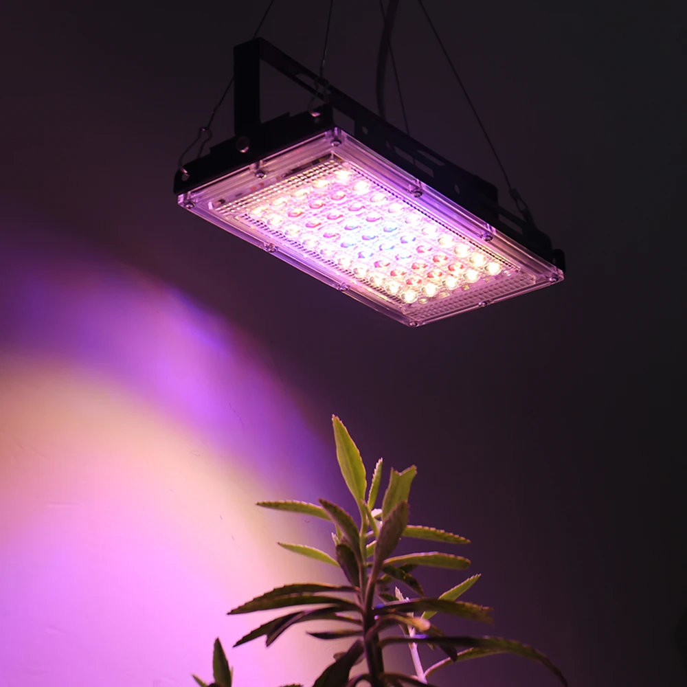 LED Grow Light 50W 100W 150W AC 220V Full Spectrum Greenhouse Hydroponic Lamps For Plant Phyto Seeing Flower Lamps LED Lighting image 6