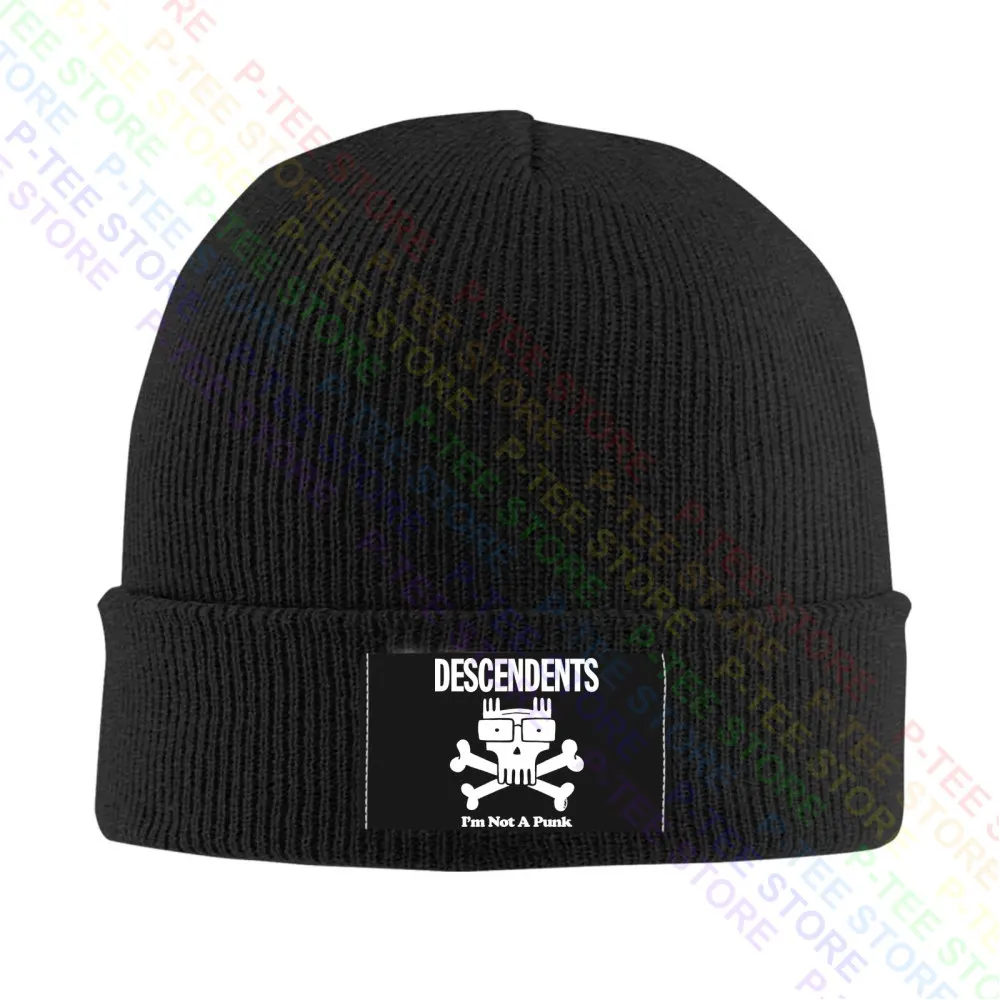 Authentic Descendents Not A Punk Baseball Cap Snapback Caps Knitted Bucket Hat