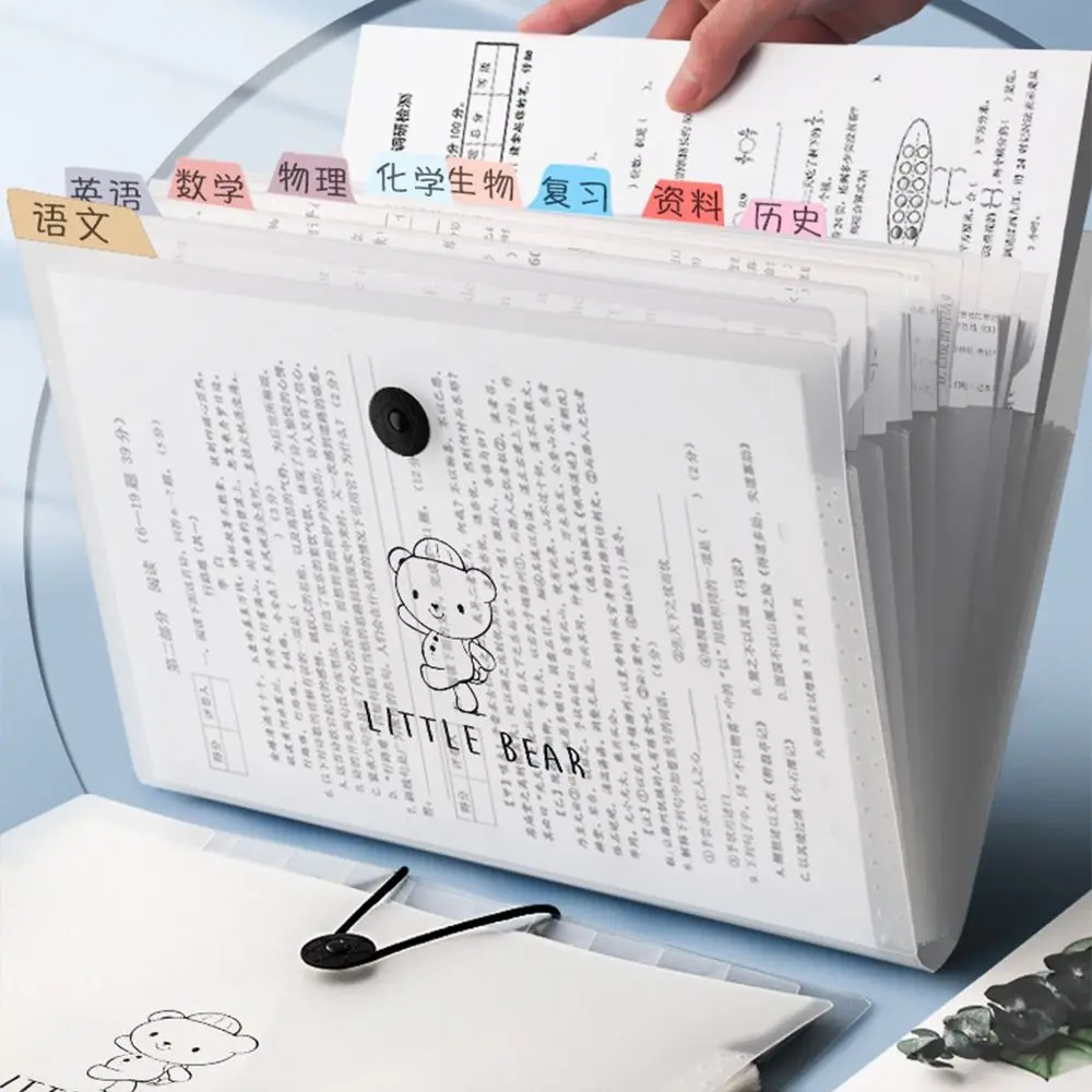 Cartella espandibile per cartoni animati Borsa per organo A4 Organizzatore di file Cartella di file A4 ad alta capacità Carta di prova traslucida impermeabile