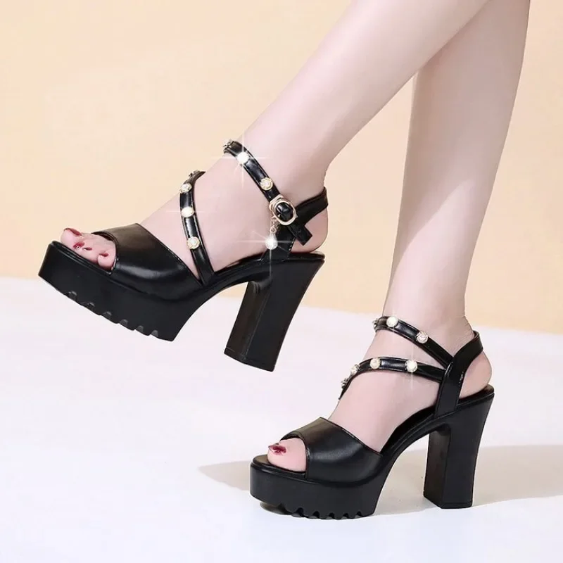 Women Fashion Fish Mouth Women Sandals Woman Summer 2024 Rivets Female High Heels Dance Shoes Platform Sandal Designer Shoes