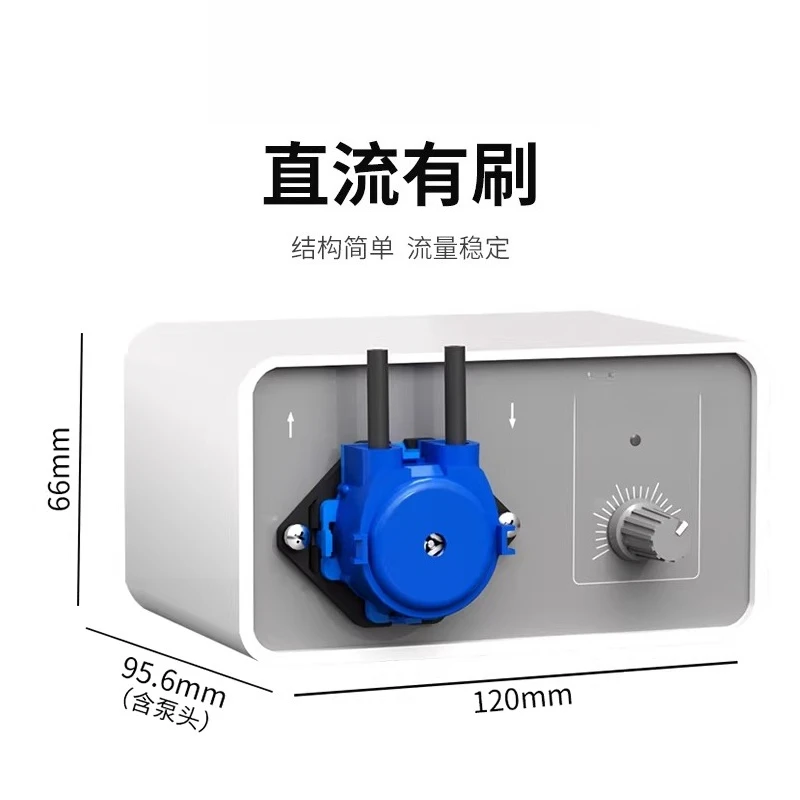 Small laboratory pump, quantitative DC pump head Speed regulating water 12V constant current pump Circulating pump
