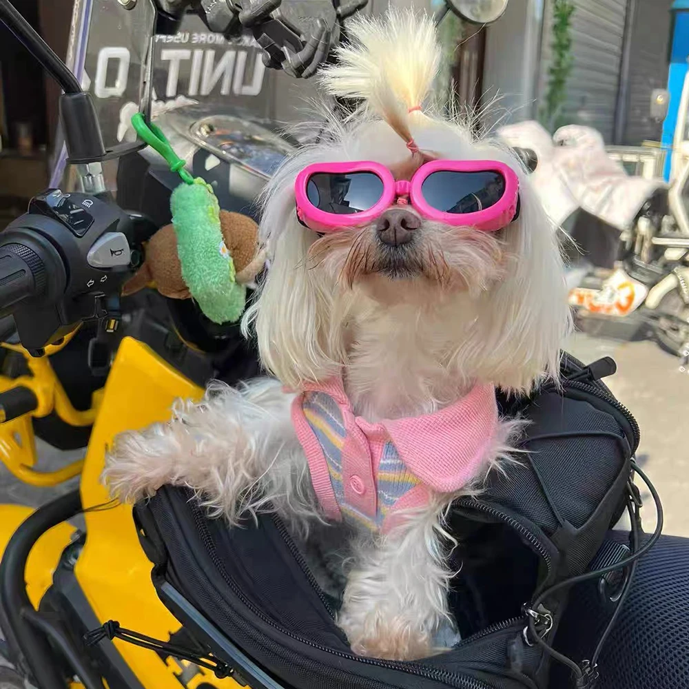 Retro Pilotenbrille für kleine Hunde, Fahrradbrille für Haustiere, Yorkshire Pinscher Sonnenbrille, Fotografie-Zubehör für Haustiere – Detail 5