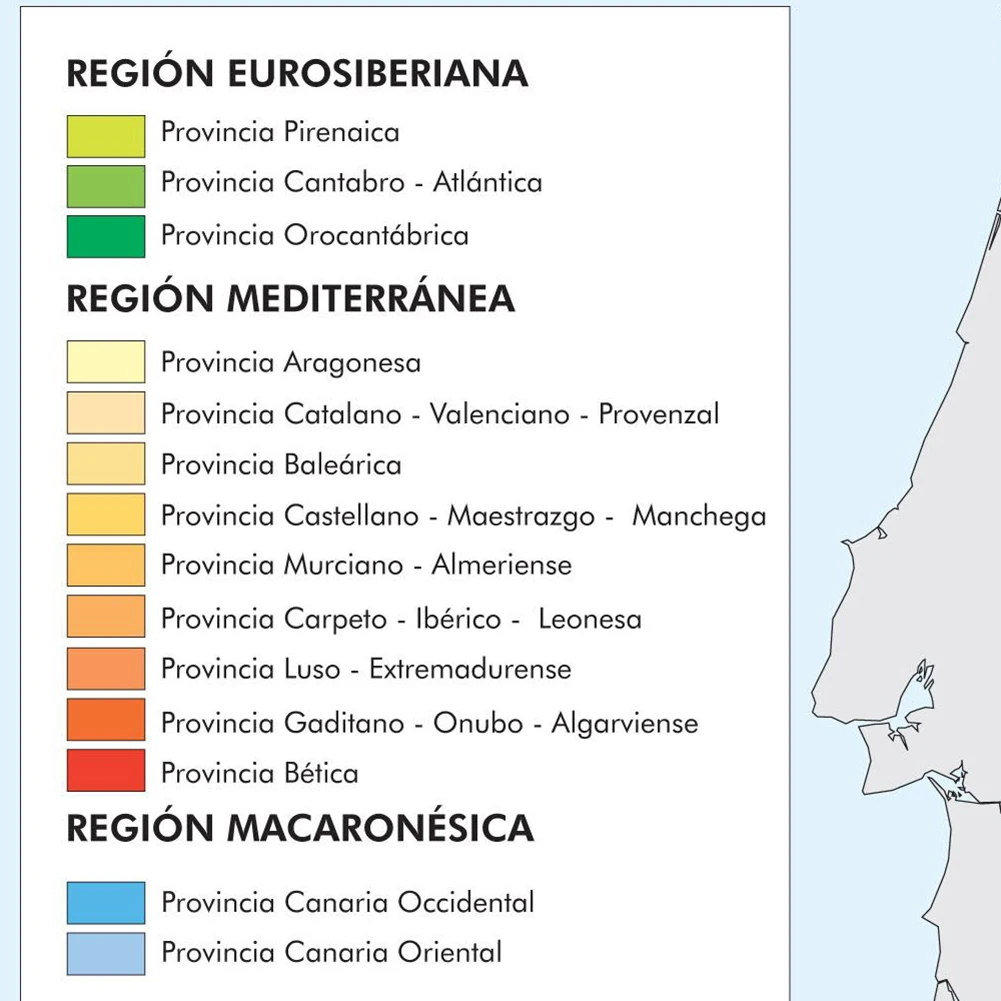 Póster de arte decorativo con mapa de España para pared, suministros de lona para escuela de pintura, decoración del hogar y sala de estar, 84x59cm