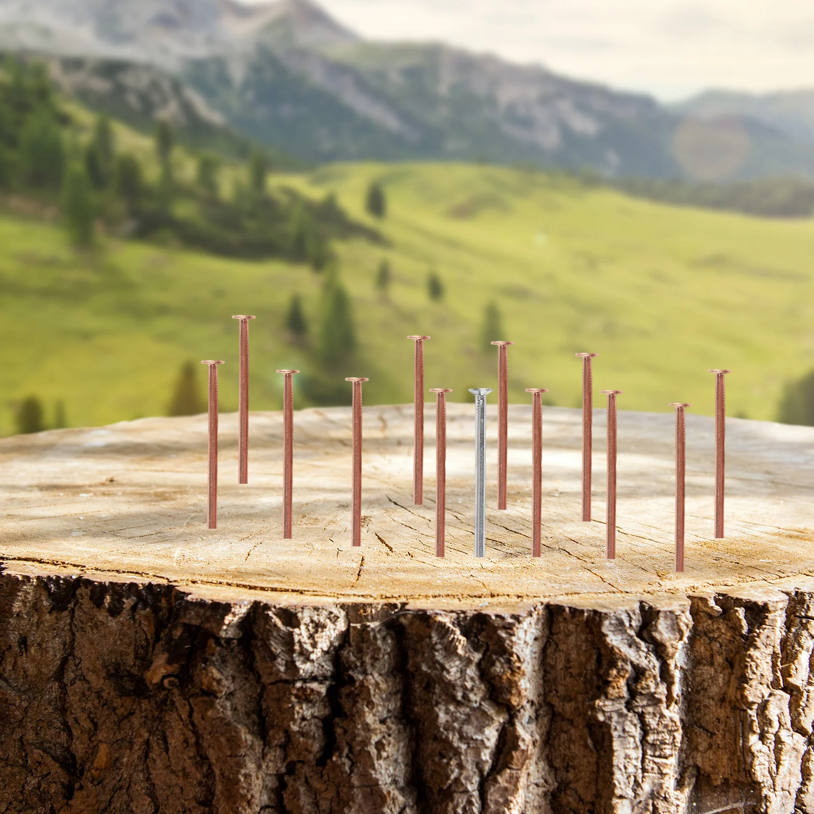 13 Piece Set of Copper Nails for Efficient Stump Removal Includes Steel Nail for Improved Landscaping Applications