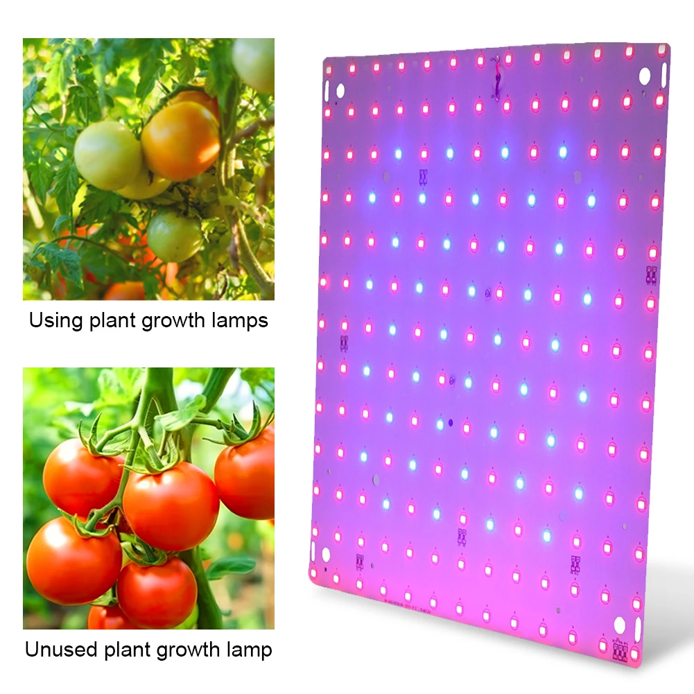 12W Full Spectrum Plant Lamp 169 LED Grow Lamp Full Spectrum Grow Light Red Blue LED for Indoor Gardening Vegetables Grow Tent
