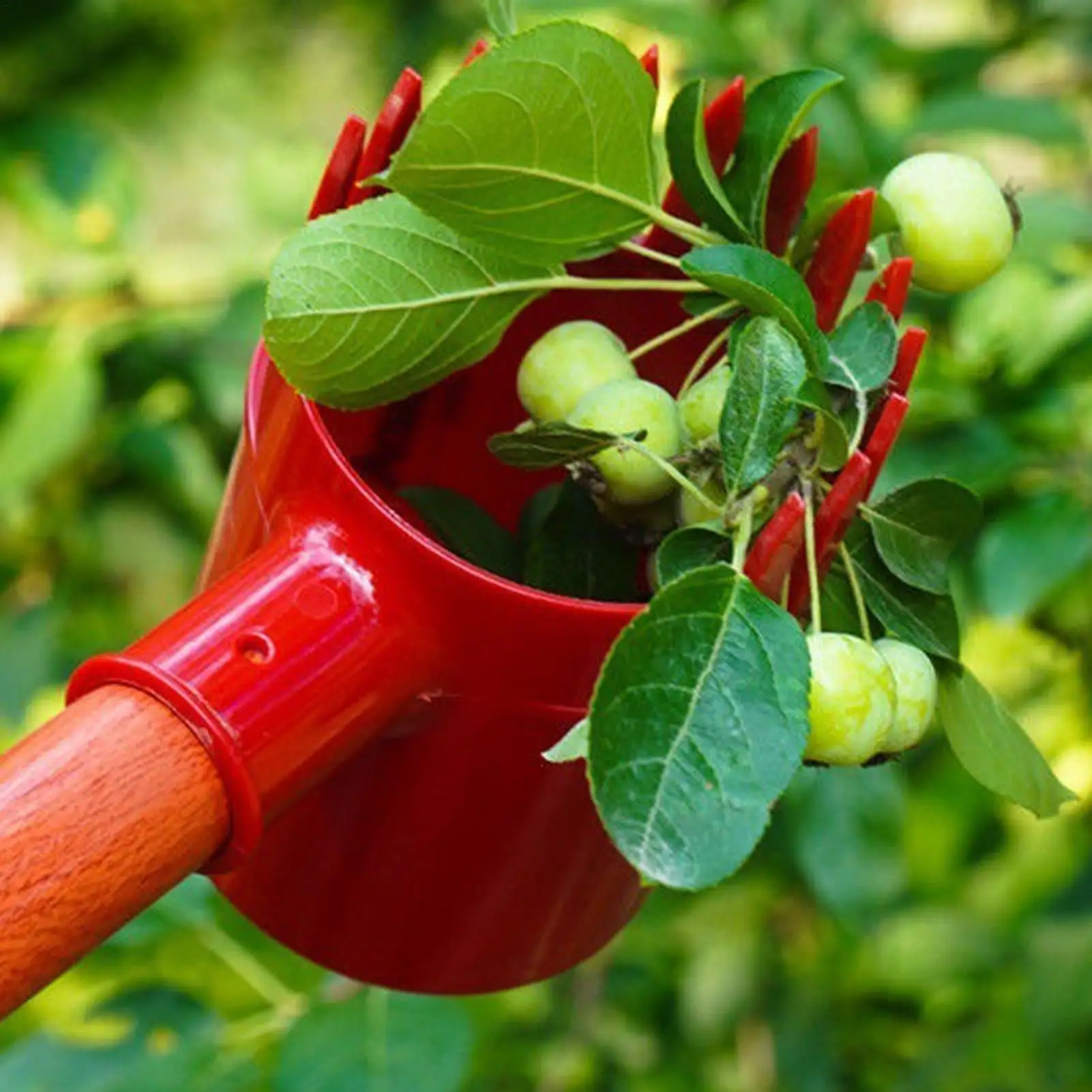 Berry Picker Portable Fruit Picker Easy to Use Practical Picking Device for Farm Park Efficient Picking Tool Portable Premium 