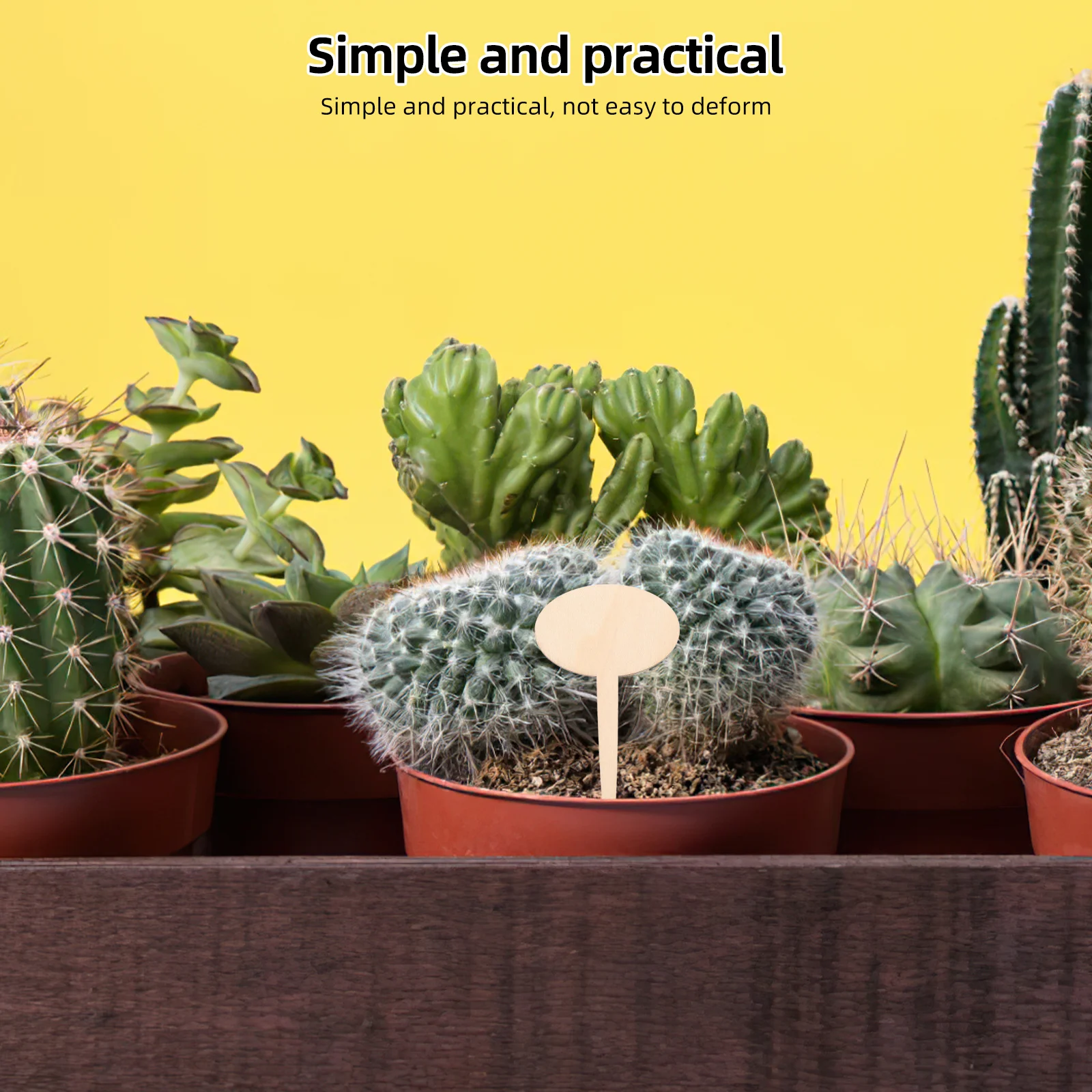 

20Pcs Wooden Succulent Plant Labels Garden Markers Outdoor Plant Tags Seedling Markers Garden Planter Signs Horticultural