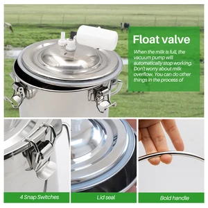 Süt keçilerinin ilk 10 satışı-4 numara