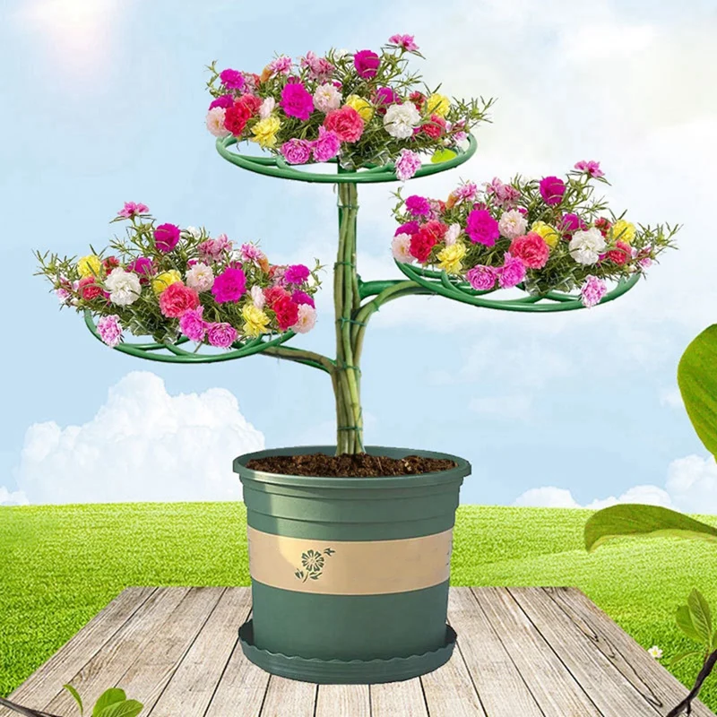 BAAG-해바라기 꽃 지지대 등반 및 접목을 위한 3층 식물 지지대