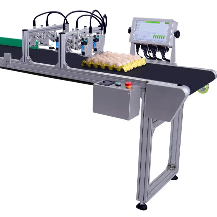 Automatic Industrial Egg Thermal Inkjet Printer Manufacturers Docod T600 TIJ Online Expiry Date QR Code Barcode Coding Machine